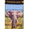 Trunked Hunk - Elephant 